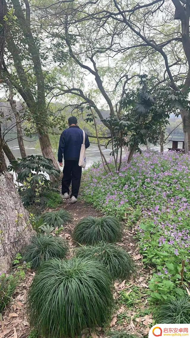 抖音成熟男生背影(抖音成熟男生背影头像)