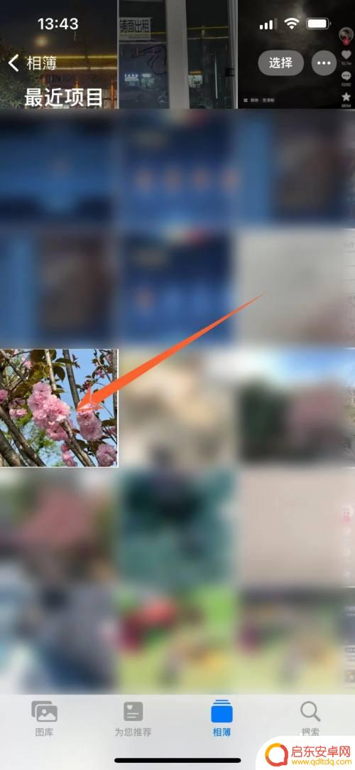 苹果手机拍照如何显示手机型号 苹果13拍照手机型号显示方法