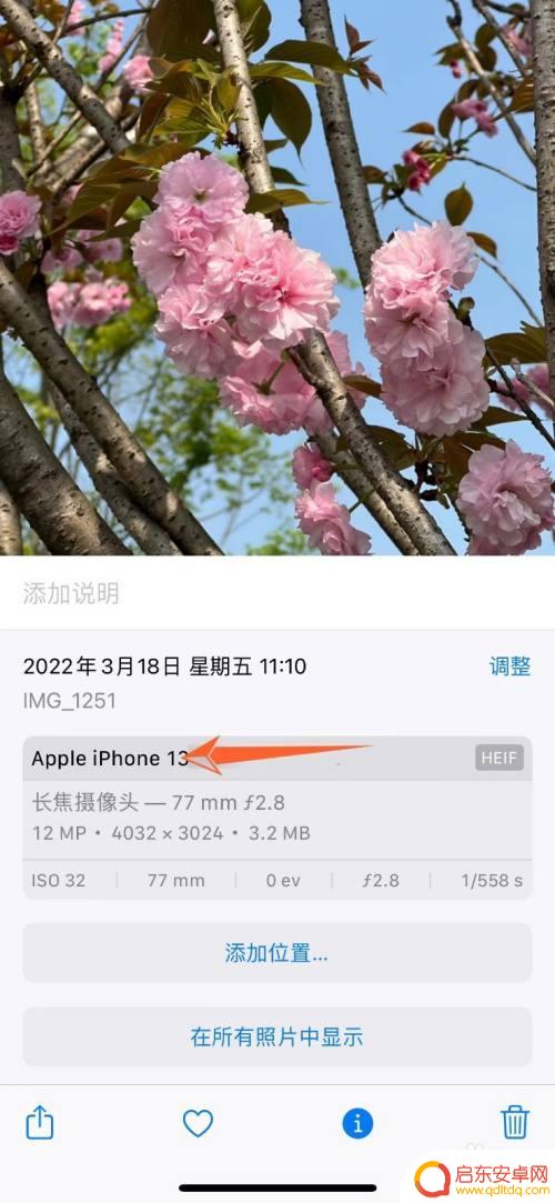 苹果手机拍照如何显示手机型号 苹果13拍照手机型号显示方法