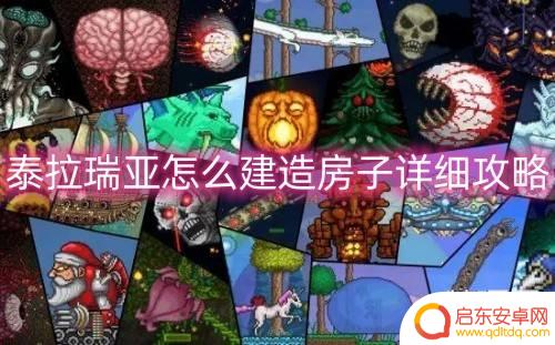 泰拉瑞亚在哪里盖房 泰拉瑞亚怎么建造房子初学者攻略