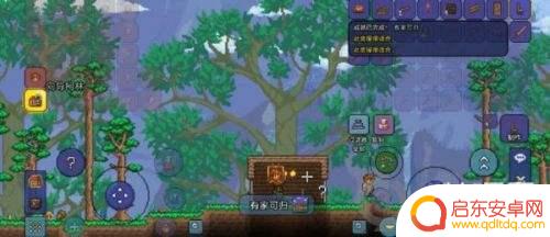 泰拉瑞亚在哪里盖房 泰拉瑞亚怎么建造房子初学者攻略