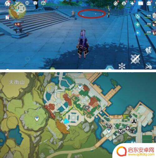 原神里面哪里鸟类多?探索鸟类丰富的地点