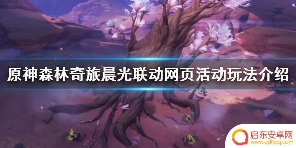 原神森林奇旅链接 《原神》森林奇旅晨光联动网页活动游戏玩法介绍