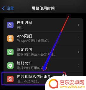 苹果手机隐私里相机权限没有应用 苹果相机权限无法显示app列表
