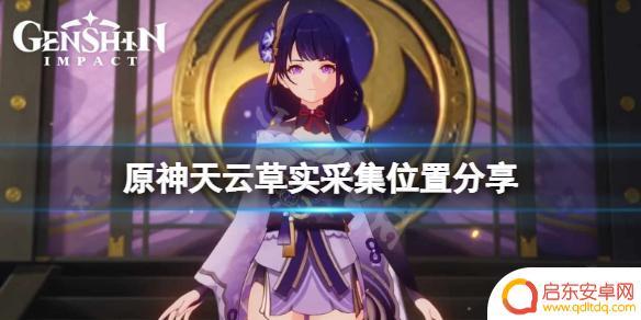 原神中天云草实在哪里采 《原神》天云草在哪里采集
