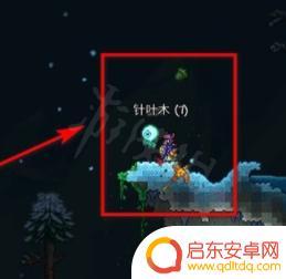 泰拉瑞亚如何造爬梯 泰拉瑞亚楼梯建造方法