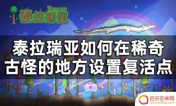 泰拉瑞亚如何安置复活点 泰拉瑞亚复活点设置攻略