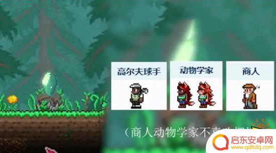 泰拉瑞亚传送物 传送水晶对应npc大全