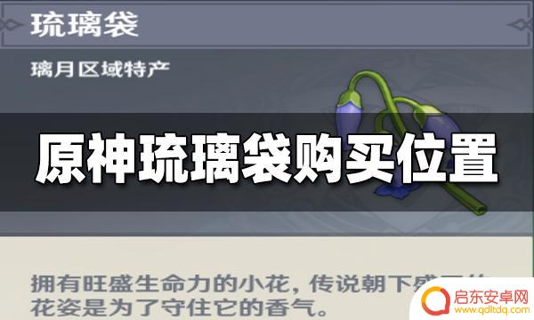 原神在哪里可以买到琉璃袋 原神琉璃袋购买地点