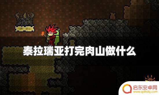 泰拉瑞亚打完肉身后干什么 泰拉瑞亚打完肉山后下一步怎么做
