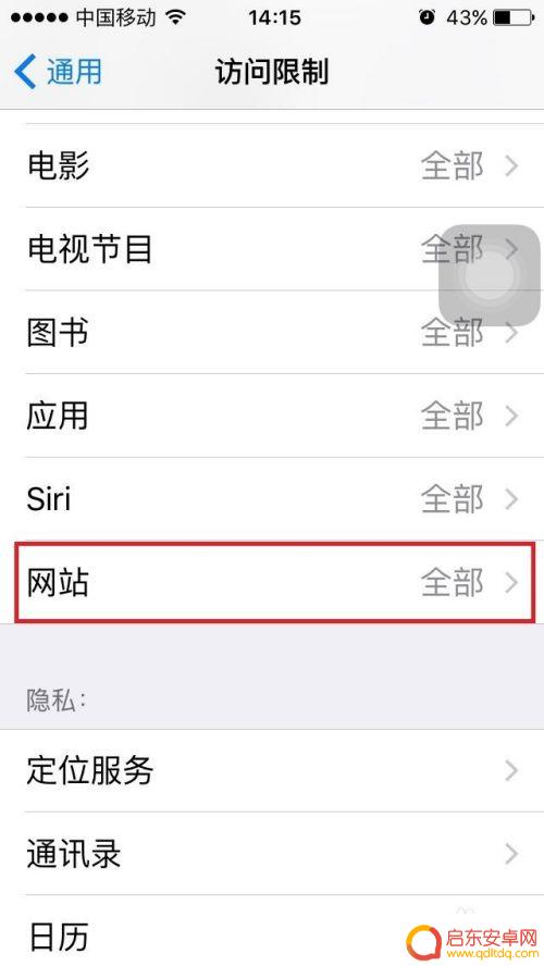 苹果手机怎么设置只有域名 如何在iPhone和iPad中限制特定网页访问