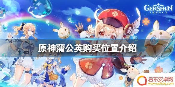 原神哪里能买蒲公英 原神蒲公英购买位置