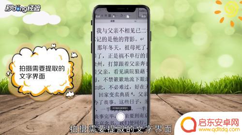 苹果手机怎么扫描提取文字 iphone如何利用自带文字提取功能
