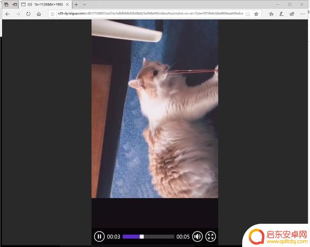 抖音能下载题目吗(抖音能下载二个吗)