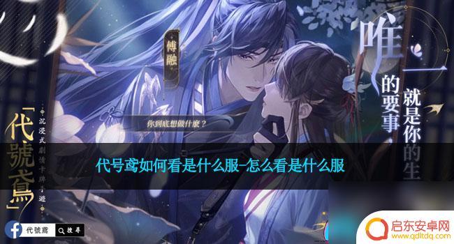 代号鸢怎么知道自己是什么服 代号鸢怎么看是哪个服