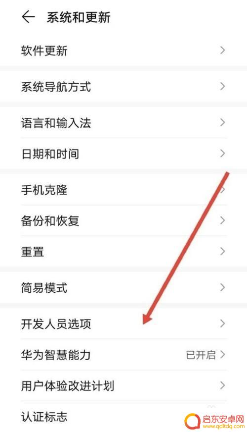 荣耀手机sa模式怎么设置 华为手机如何切换至sa模式