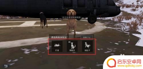 明日之后怎么陪狗玩 明日之后狗玩耍指南