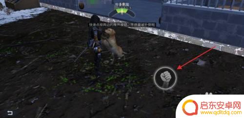 明日之后怎么陪狗玩 明日之后狗玩耍指南