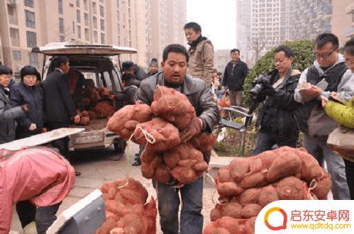 湖北农民卖红薯抖音(网红直播卖红薯)