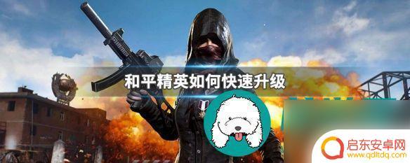 和平精英怎么升级等级 和平精英快速升级等级攻略