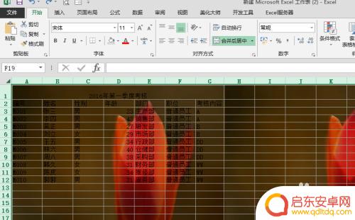 手机怎么给表格加背景 Excel表格背景图的添加步骤