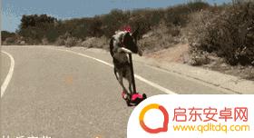 怎样取消抖音病毒(怎样取消抖音病毒检测)