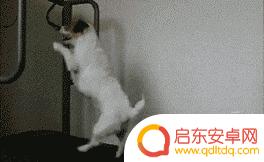 怎样取消抖音病毒(怎样取消抖音病毒检测)