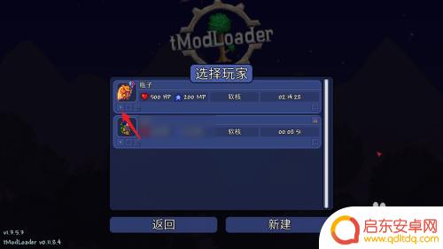 泰拉瑞亚怎么lp联机 泰拉瑞亚电脑版多人联机教程