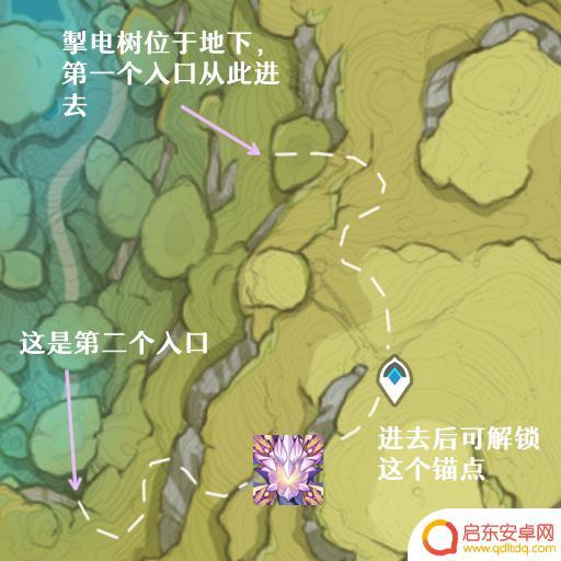 原神没电的雷树 原神须弥雷树怎么获得