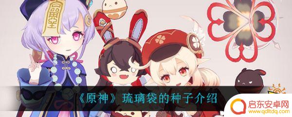 原神琉璃袋种子怎么得？快速获取方法揭秘！