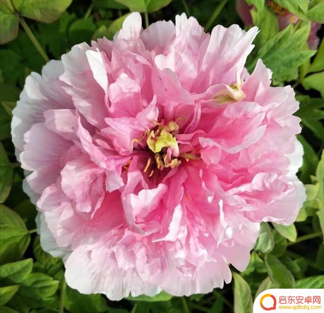 抖音中国省份介绍(抖音是哪个省份的)