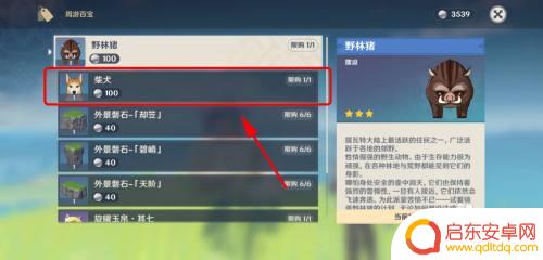 原神柴犬怎么驯服 原神如何获得动物柴犬