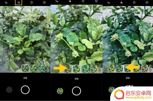 oppo手机微距拍照 OPPO手机超广角模式的拍照效果如何