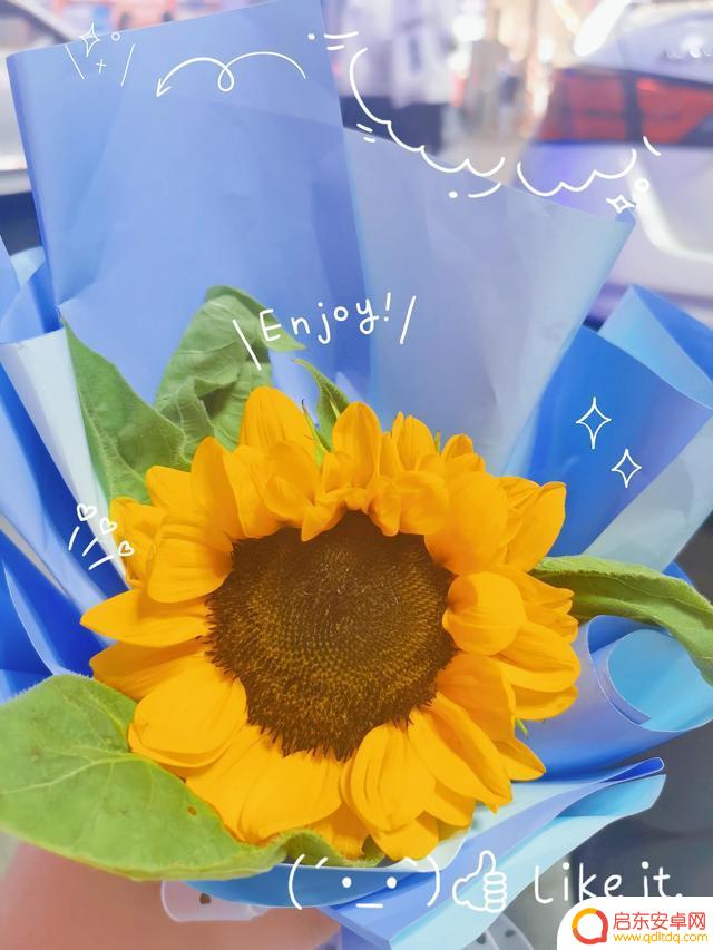 别人送你花抖音文案(别人送你花抖音文案怎么写)