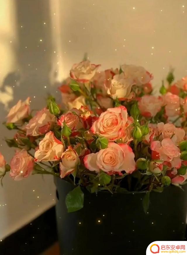 别人送你花抖音文案(别人送你花抖音文案怎么写)