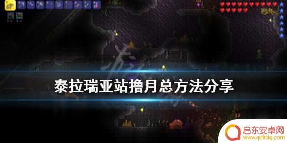 泰拉瑞亚怎么用医生打月老 《泰拉瑞亚》月总站撸攻略分享