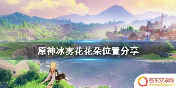 原神冰雾花在哪里有 《原神》冰雾花花朵怎么采集