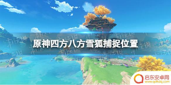 原神雪狐 《原神》雪狐捕捉位置在哪里