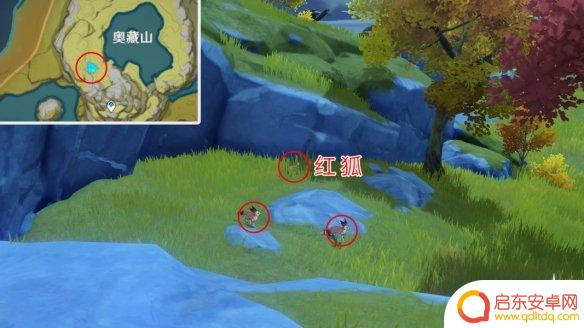 原神雪狐 《原神》雪狐捕捉位置在哪里
