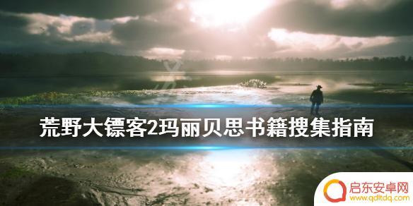 荒野大镖客2 玛丽读书 《荒野大镖客2》玛丽贝思的书籍在哪购买