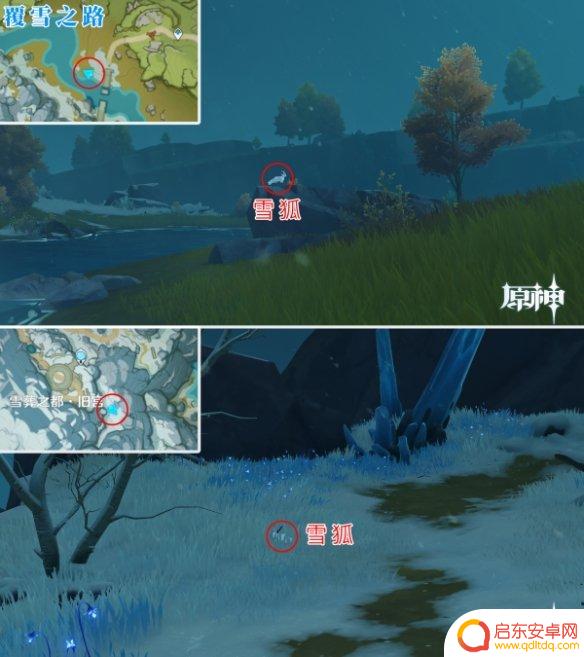 原神雪狐 《原神》雪狐捕捉位置在哪里