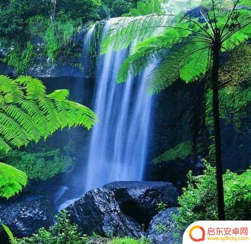 抖音老人图像头像(抖音老人图像头像图片)