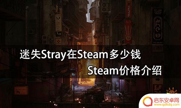 steam迷失多少钱 迷失Stray Steam价格