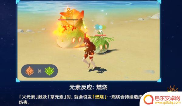 原神草雷火反应 原神2.7草系反应怎么触发