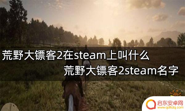 荒野大镖客2叫啥 荒野大镖客2steam评价