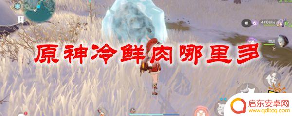 原神冷鲜肉获取地点 原神冷鲜肉采集位置攻略