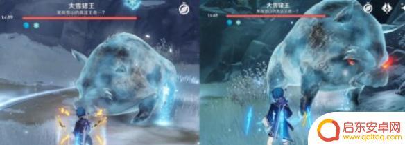 原神猪王 原神大雪猪王技能解析