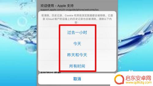 苹果手机清理浏览痕迹 苹果手机Safari浏览器清理浏览记录步骤