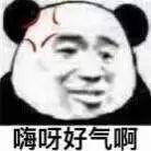 抖音熊猫高清图片(抖音熊猫高清图片壁纸)