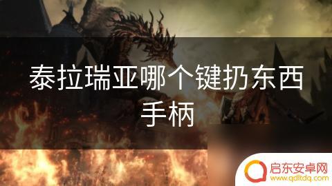 飞车大冒险如何扔东西 泰拉瑞亚手柄扔东西按键